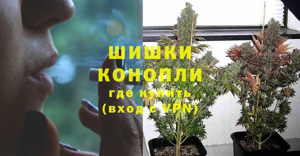 дживик Белокуриха