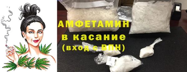 дживик Белокуриха