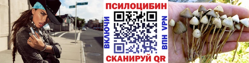 Псилоцибиновые грибы Psilocybine cubensis  Городовиковск 